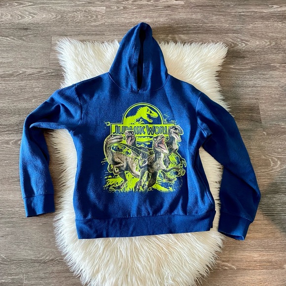 Jurassic World Boys Large hoodie Heather Blue - Picture 1 of 6